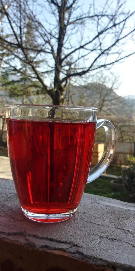 Dimis Ferdobi Hostel Екстериор снимка